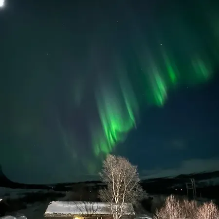 Dovregubbens Hall 3*