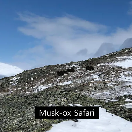 Tatil parkı Dovregubbens Hall Vålåsjø