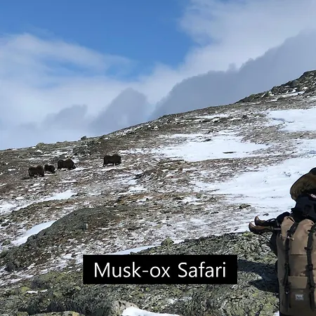 Dovregubbens Hall 3*