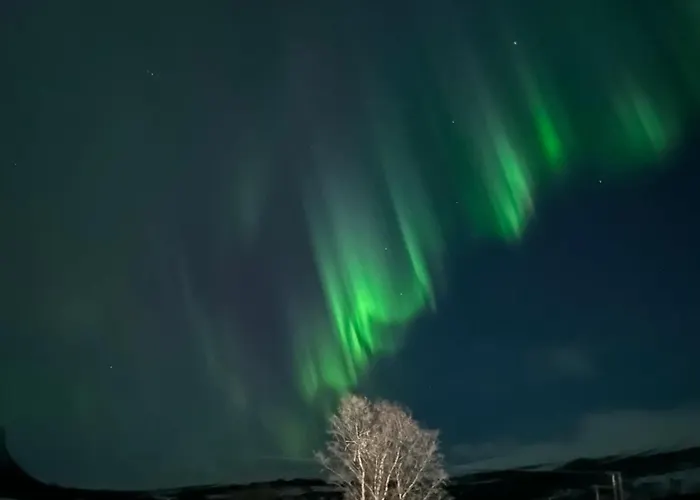 Dovregubbens Hall 3*