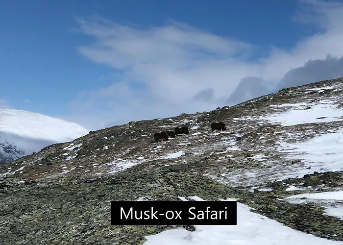 Semesterpark Dovregubbens Hall Vålåsjø