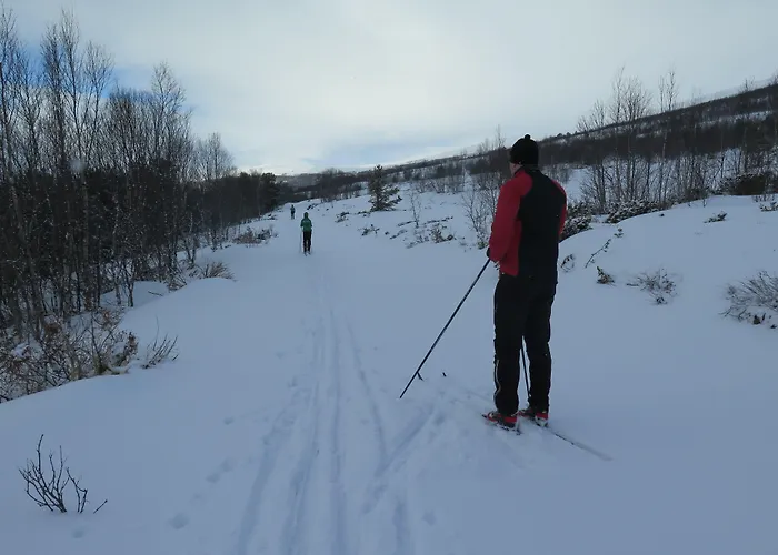 Semesterpark Dovregubbens Hall Vålåsjø