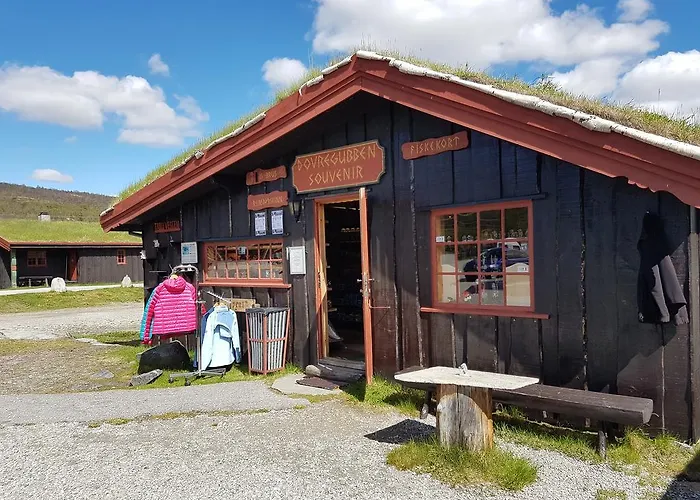 Dovregubbens Hall 3* Vålåsjø