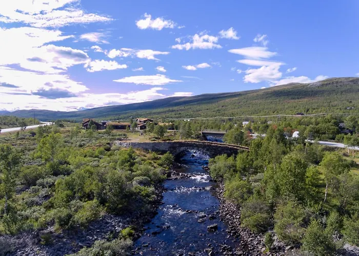 Semesterpark Dovregubbens Hall